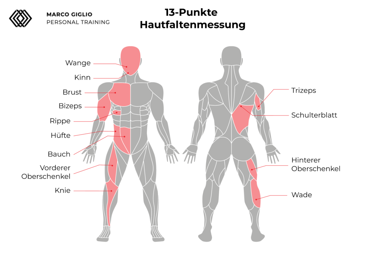 Hautfaltenmessung 13-Punkte für Personal Training