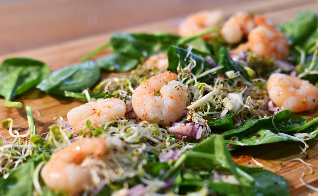 Protein: Quelle und Bedeutung