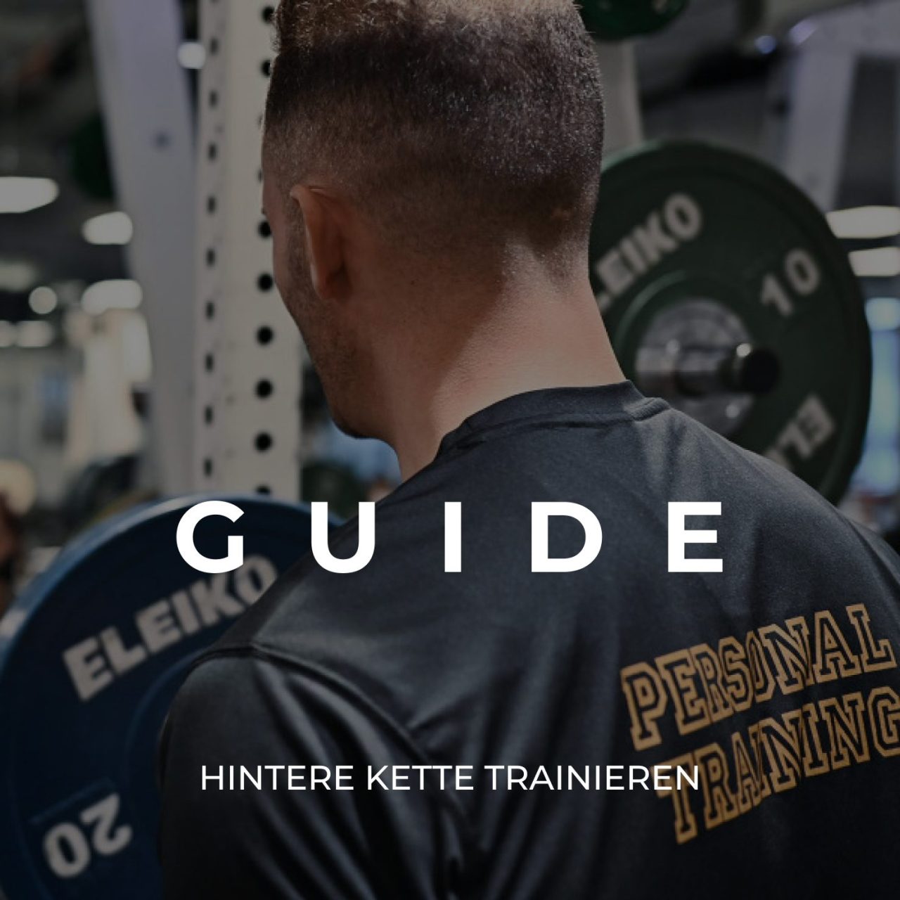Hintere Kette trainieren - Guide Marco Giglio