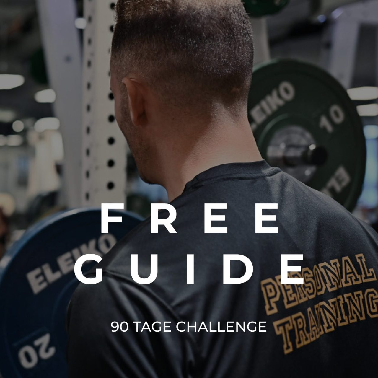 FREE GUIDE - 90 Tage Challenge