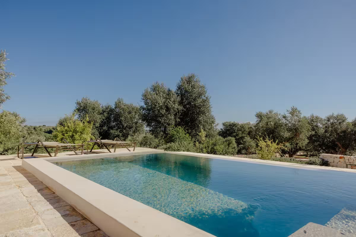 Infinity pool surrounded by greenery